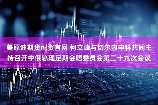 美原油期货配资官网 何立峰与切尔内申科共同主持召开中俄总理定期会晤委员会第二十九次会议