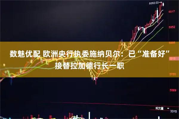 数魅优配 欧洲央行执委施纳贝尔：已“准备好”接替拉加德行长一职
