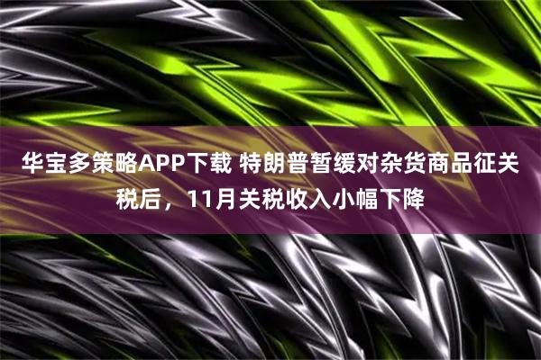 华宝多策略APP下载 特朗普暂缓对杂货商品征关税后，11月关税收入小幅下降