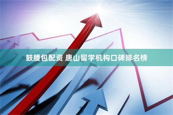 鼓腰包配资 唐山留学机构口碑排名榜