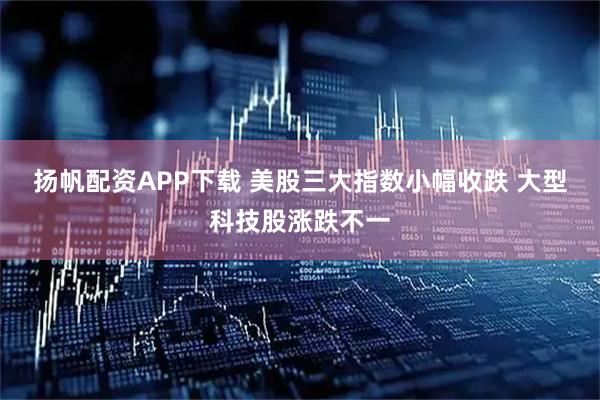 扬帆配资APP下载 美股三大指数小幅收跌 大型科技股涨跌不一